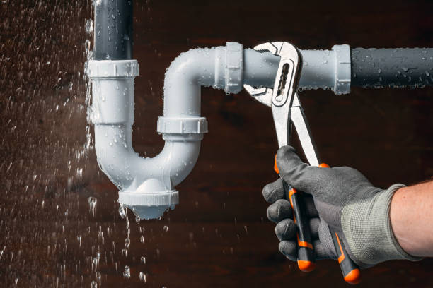 Professional Leak Detection technician working in Linden, MI